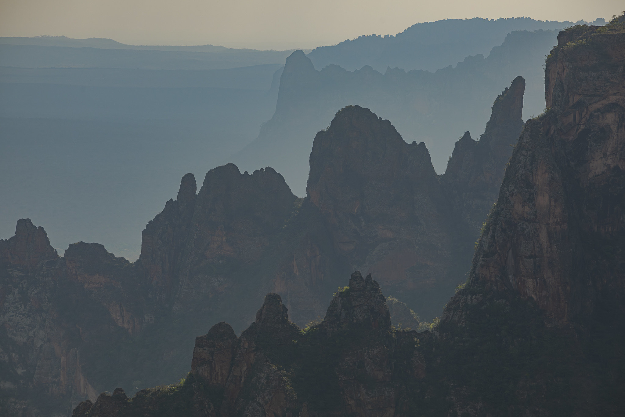 Imagem Expedição Chap Guim - ESEC Serra das Araras--56 da expedição de expedicoes/araras_25